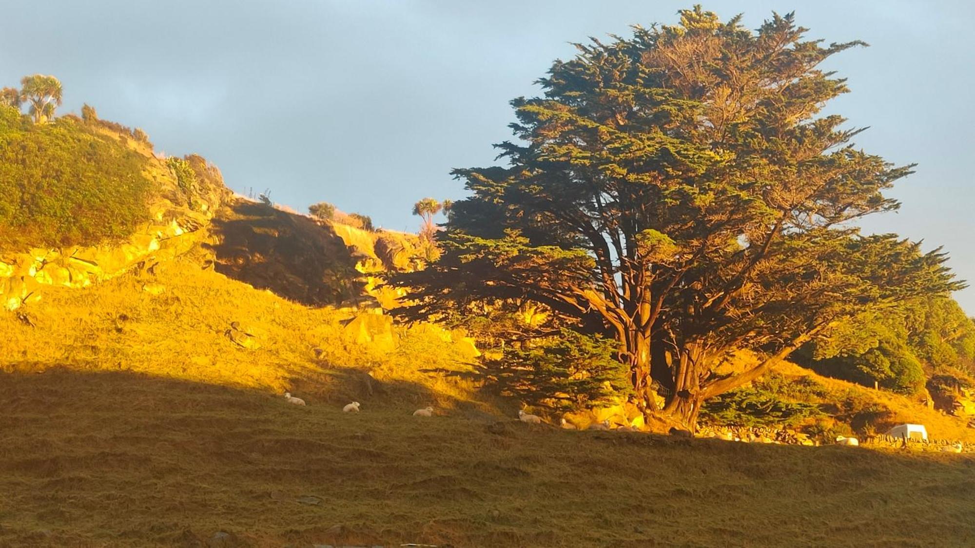 Pukemara Retreat Leilighet Sandymount Eksteriør bilde