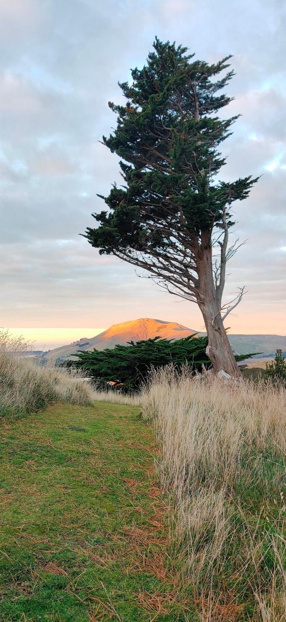Pukemara Retreat Leilighet Sandymount Eksteriør bilde